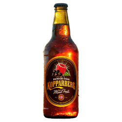 Cider.  Kopparberg Mixed Fruit Cider (4% / 500ml)